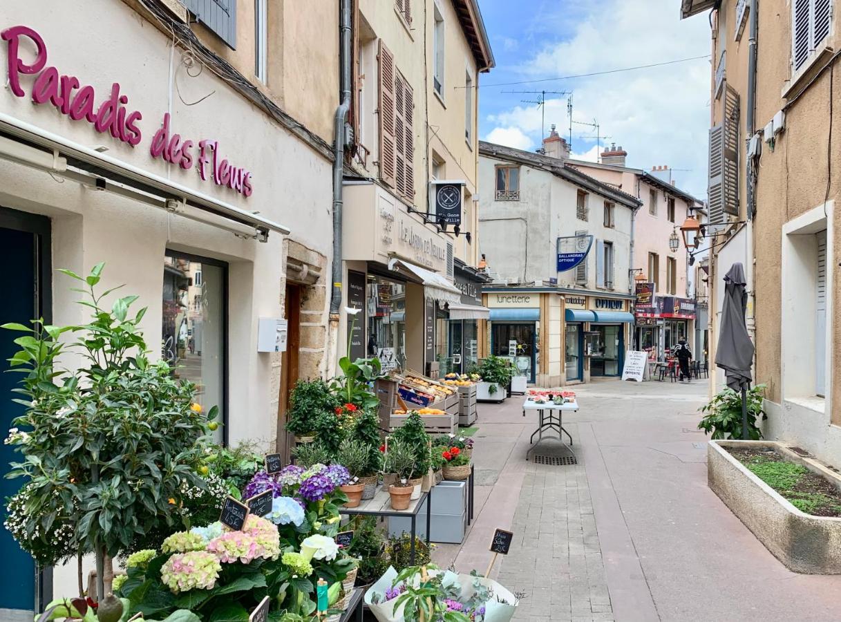 Charmant Appartement Au Coeur De Neuville - Lyon A 20Mn מראה חיצוני תמונה